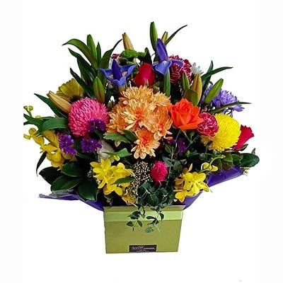 Bright colorful boxed flowers arrangment