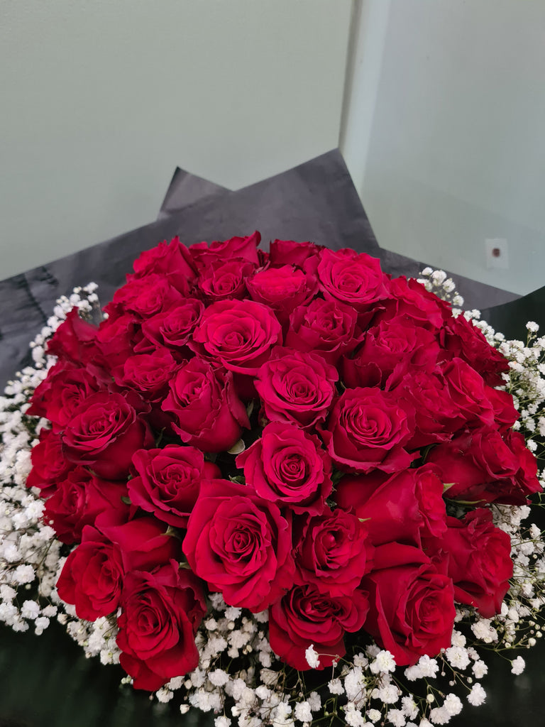 Red Roses Magnificent!