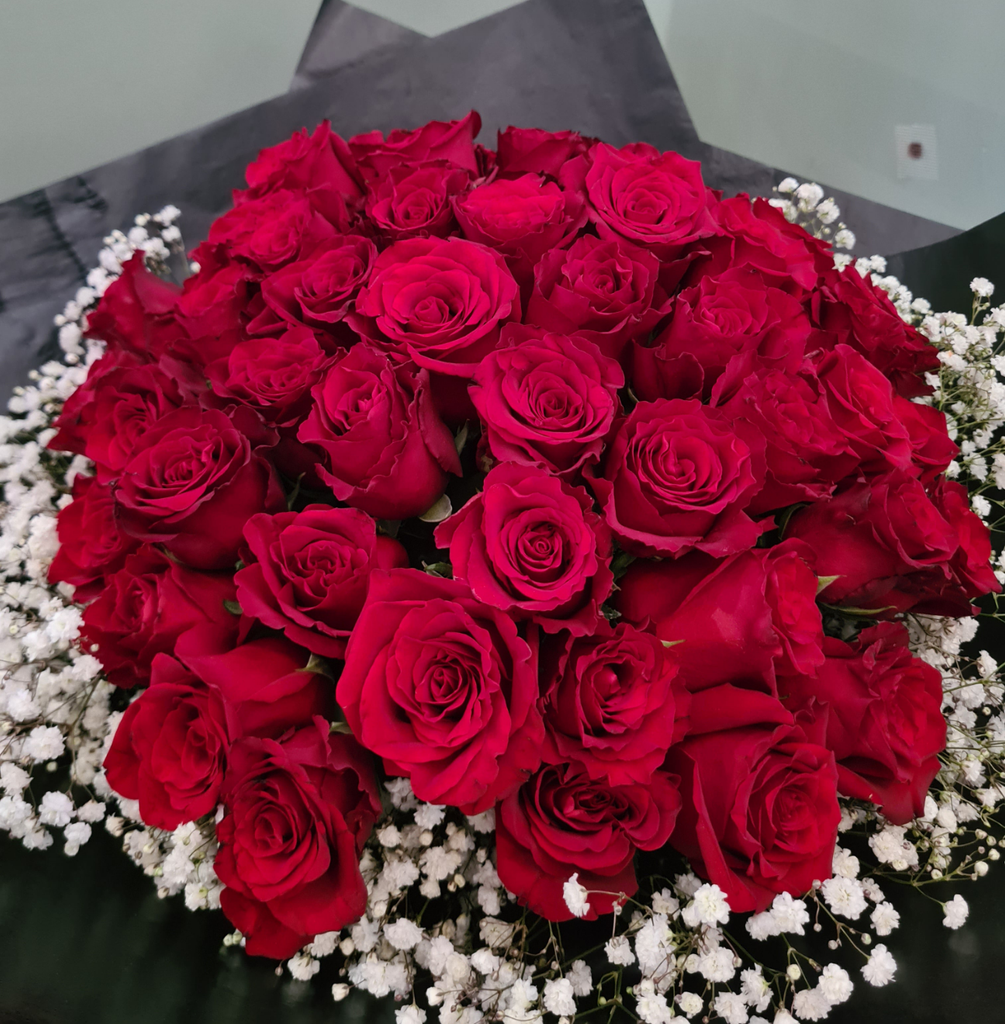 Red Roses Magnificent!