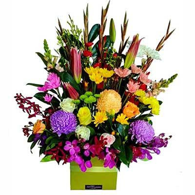 Large colorful flower box arrangement