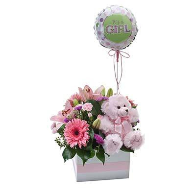 New baby girl pink flowers teddy bear package